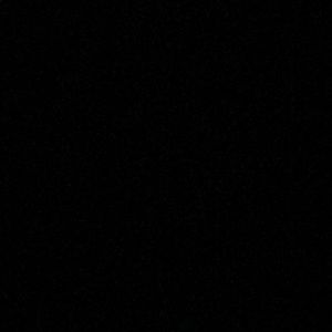 Meet your Posher, Shania